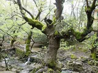 صور Epta Piges (Seven Springs) ألطَّقص